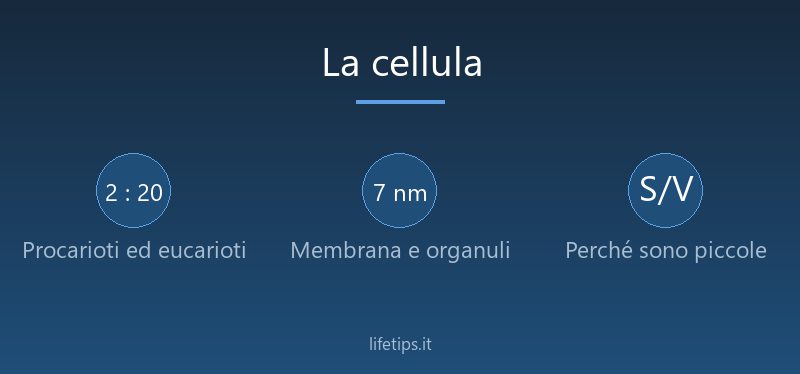 La cellula: procarioti ed eucarioti, membrana, organuli e 43 esercizi svolti